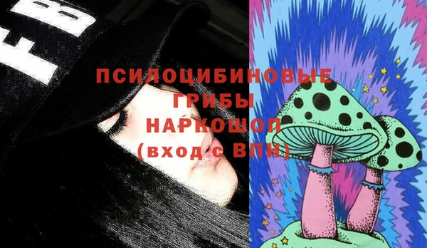 гидра Дмитров