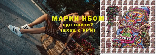 крисы Дмитриев