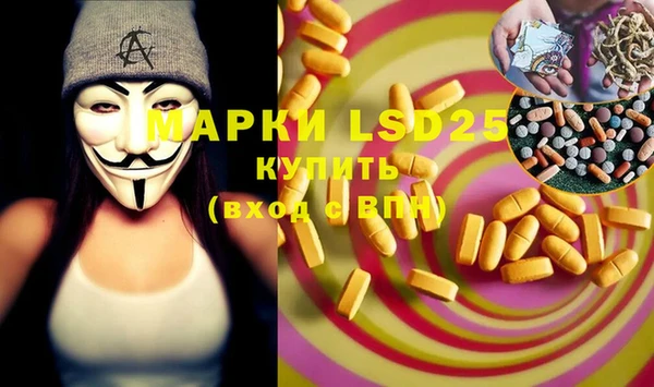 гидра Дмитров