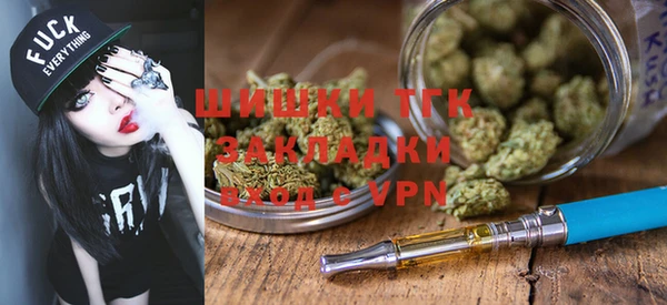 крисы Дмитриев