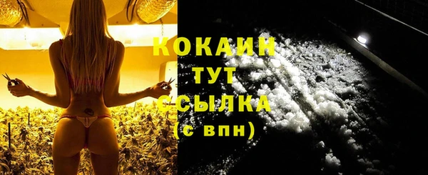 крисы Дмитриев