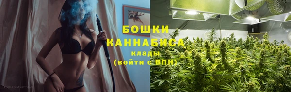гидра Дмитров